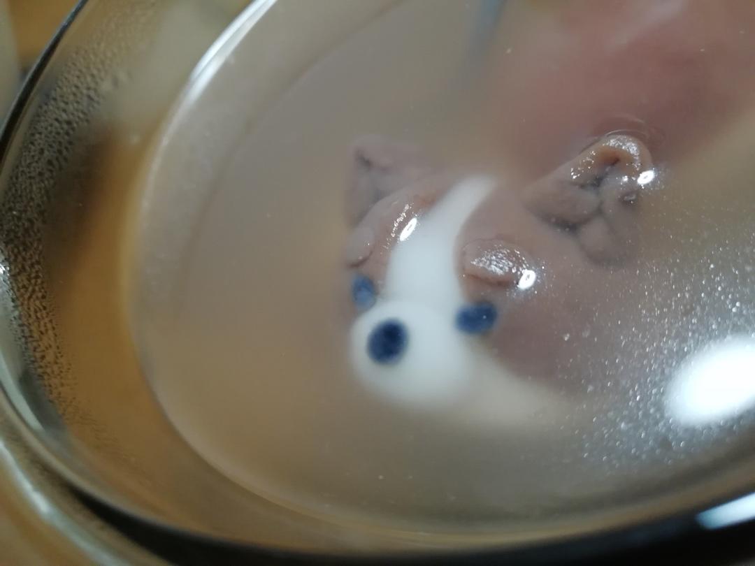 柯基黑芝麻汤圆～携狗子祝大家元宵节快乐呀！