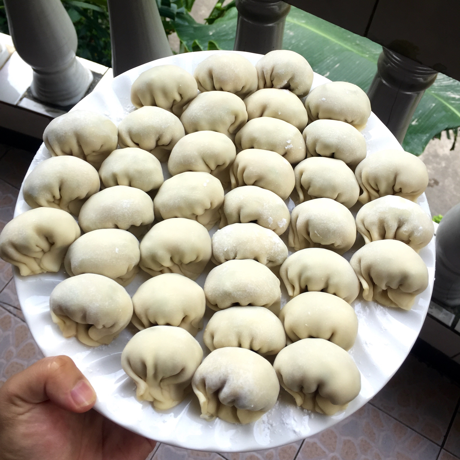 苏芙蕾做的酸豆角猪肉水饺