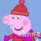 温柔又迷人的鱼