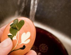 彩色茶叶蛋进化版-植物花纹的做法 步骤7