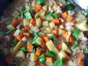 土豆胡萝卜炒肉丁的做法 步骤9