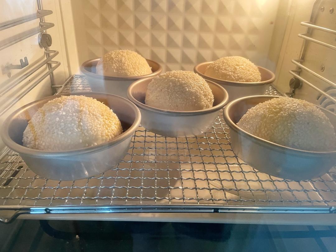 汉堡包🍔坯（汤种法）