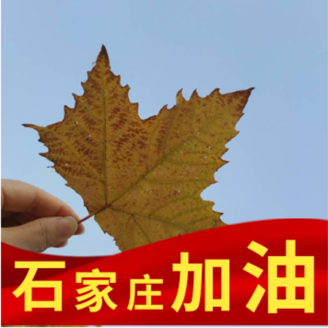 我心祎旧的厨房