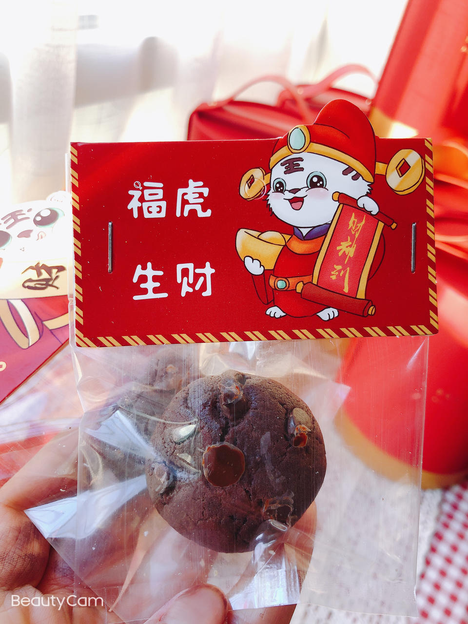 比趣多多还要好吃“巧克力豆曲奇饼干”