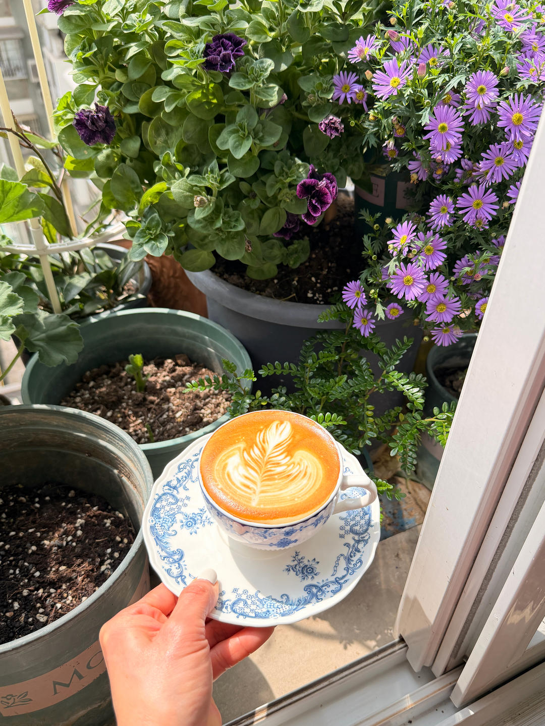 下午茶•2026年4月9日