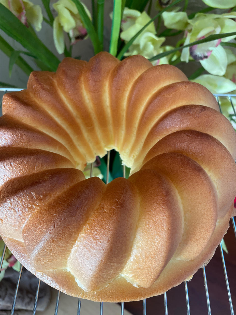 小美海绵蛋糕简易版