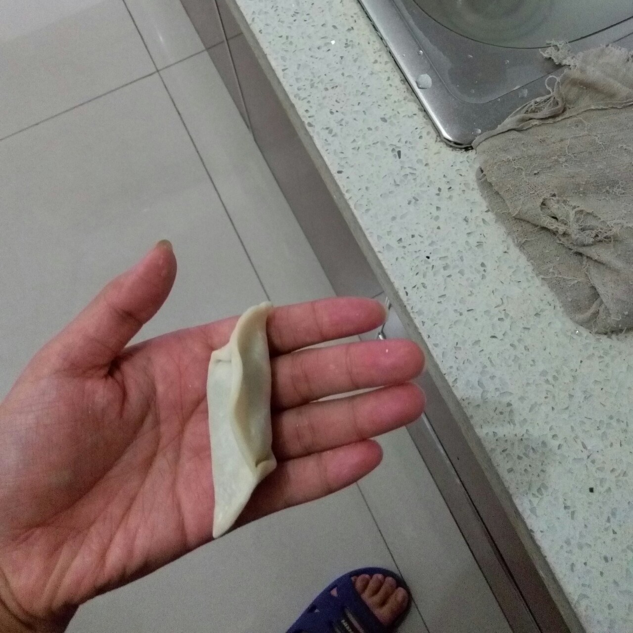 ╭ (￣▽￣)╯饺子包法