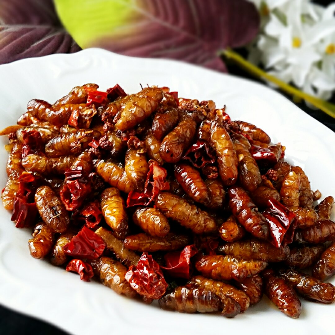 乐萱的小厨房做的干煸蚕蛹