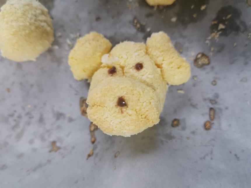 椰蓉小狗饼干 小美版