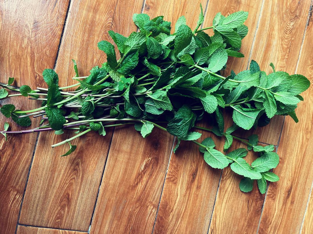 干薄荷茶