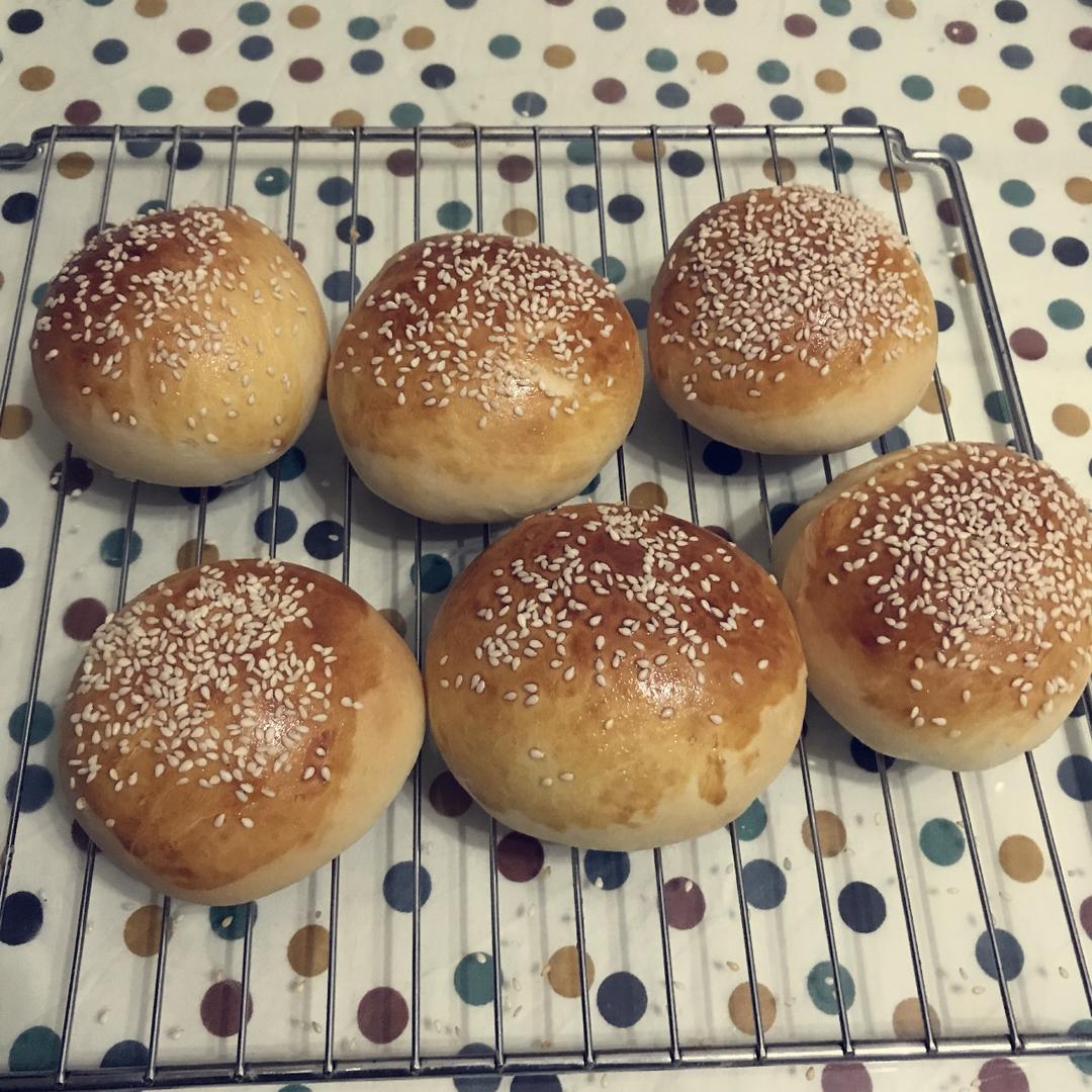 汉堡胚 poolish（波兰种）