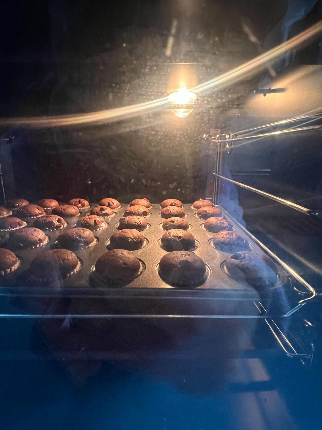 巧克力玛芬小蛋糕 可以常温邮寄的小蛋糕！