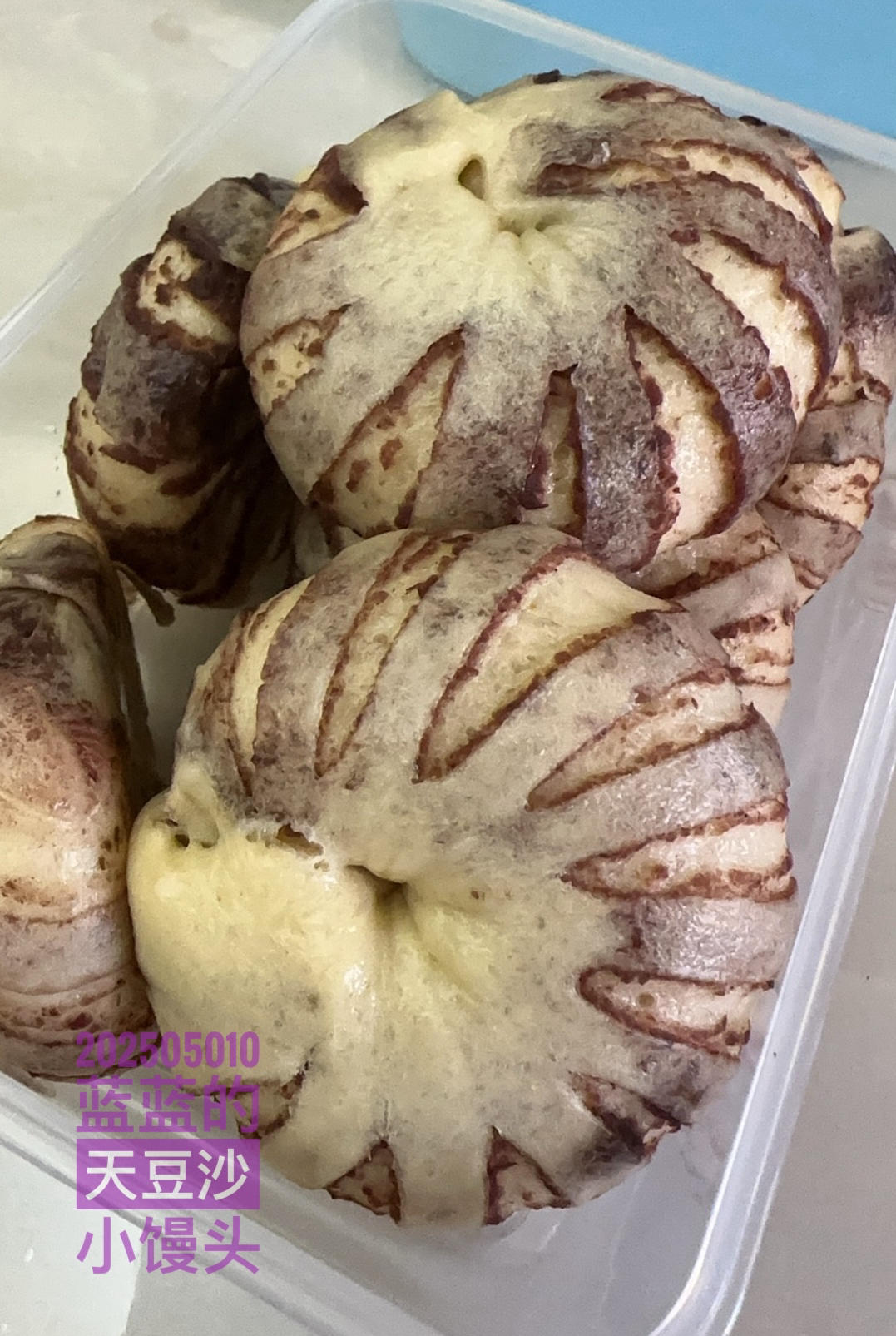 小灯笼豆沙卷 豆沙包 超治愈 一次醒发 附整形细节视频