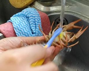 十三香小龙虾（非调料包）内附洁癖+强迫症的杀小龙虾方法的做法 步骤2