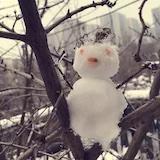 一叶落锅一叶飘