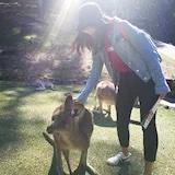 已被抢注咯咯哒