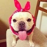 mandymiya