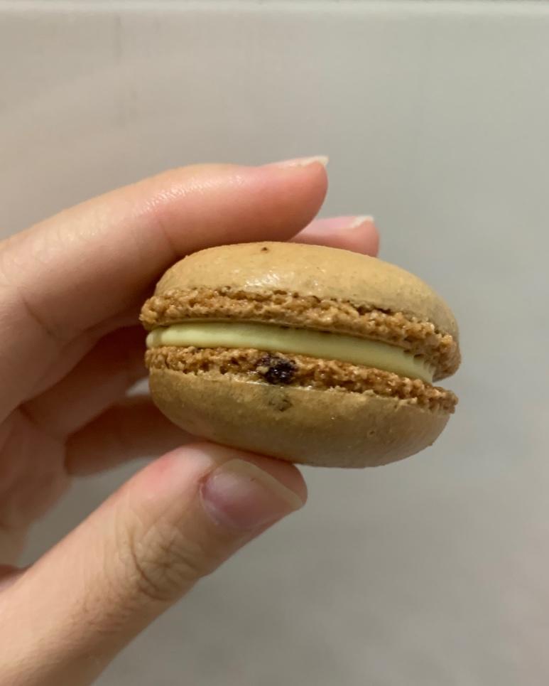 小马日记