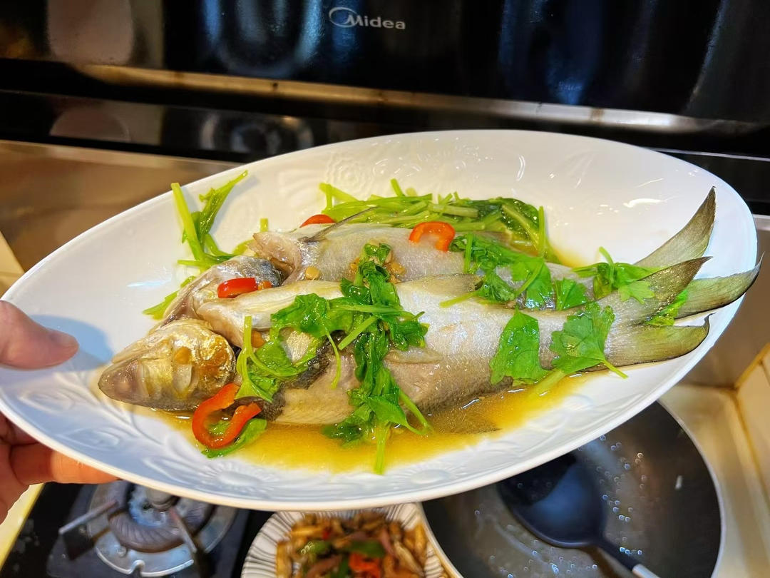 豆酱马友鱼