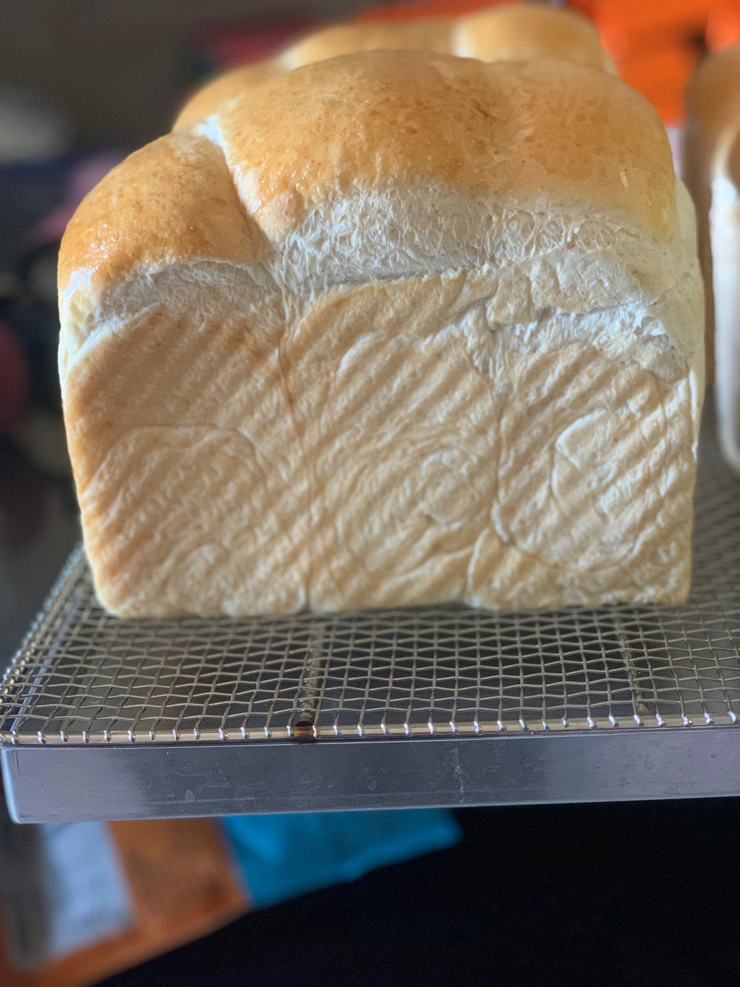 全麦吐司（70%冷藏中种法）