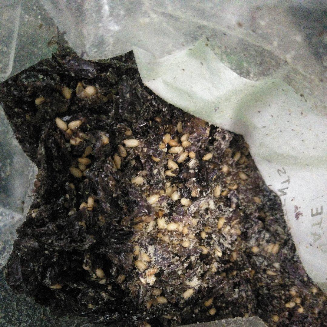 拌饭芝麻海苔(紫菜)碎