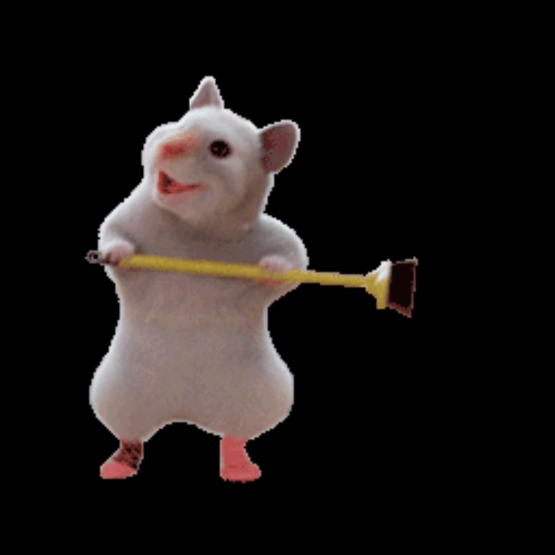 今天炸厨房了吗-