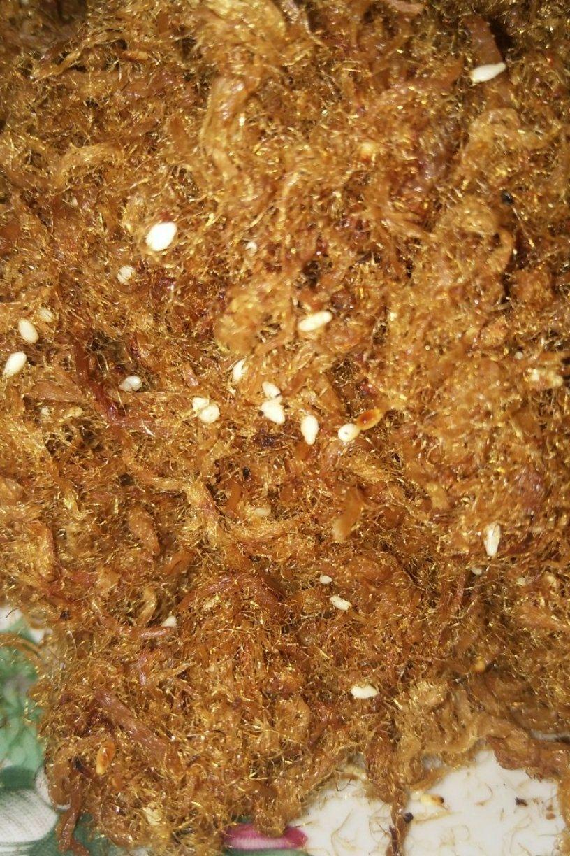 自制肉松（附快速撕肉方法）