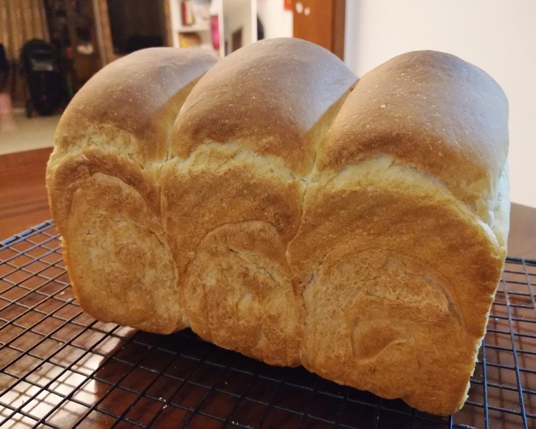适合新手的超简单基础白吐司