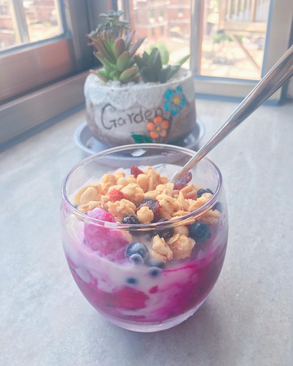 【减脂】自制希腊酸奶