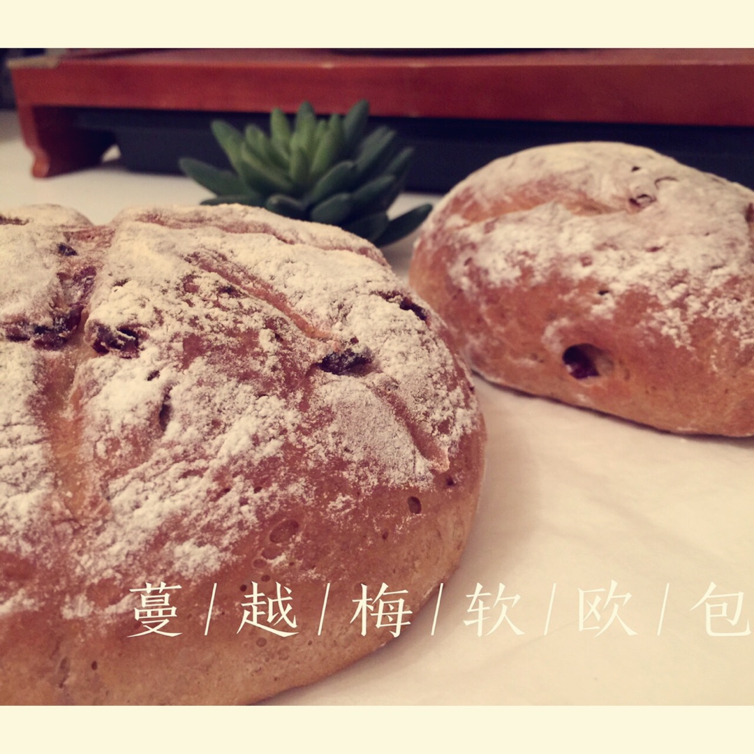 蔓越莓坚果红糖软欧包