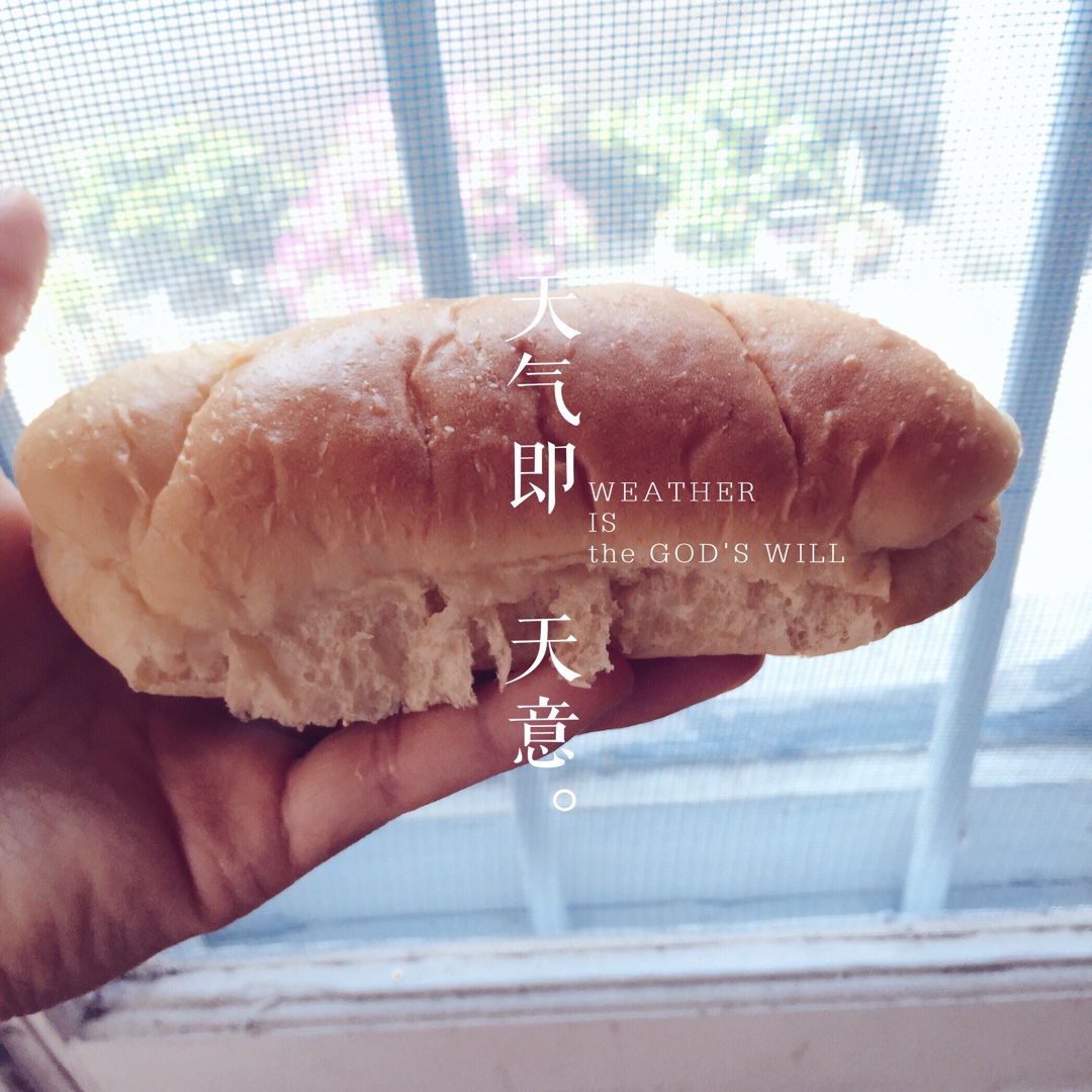 金大旺的胡萝卜小餐包