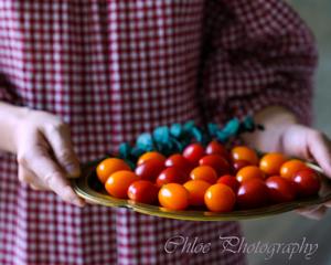 橄榄油渍风干小番茄的做法 步骤1