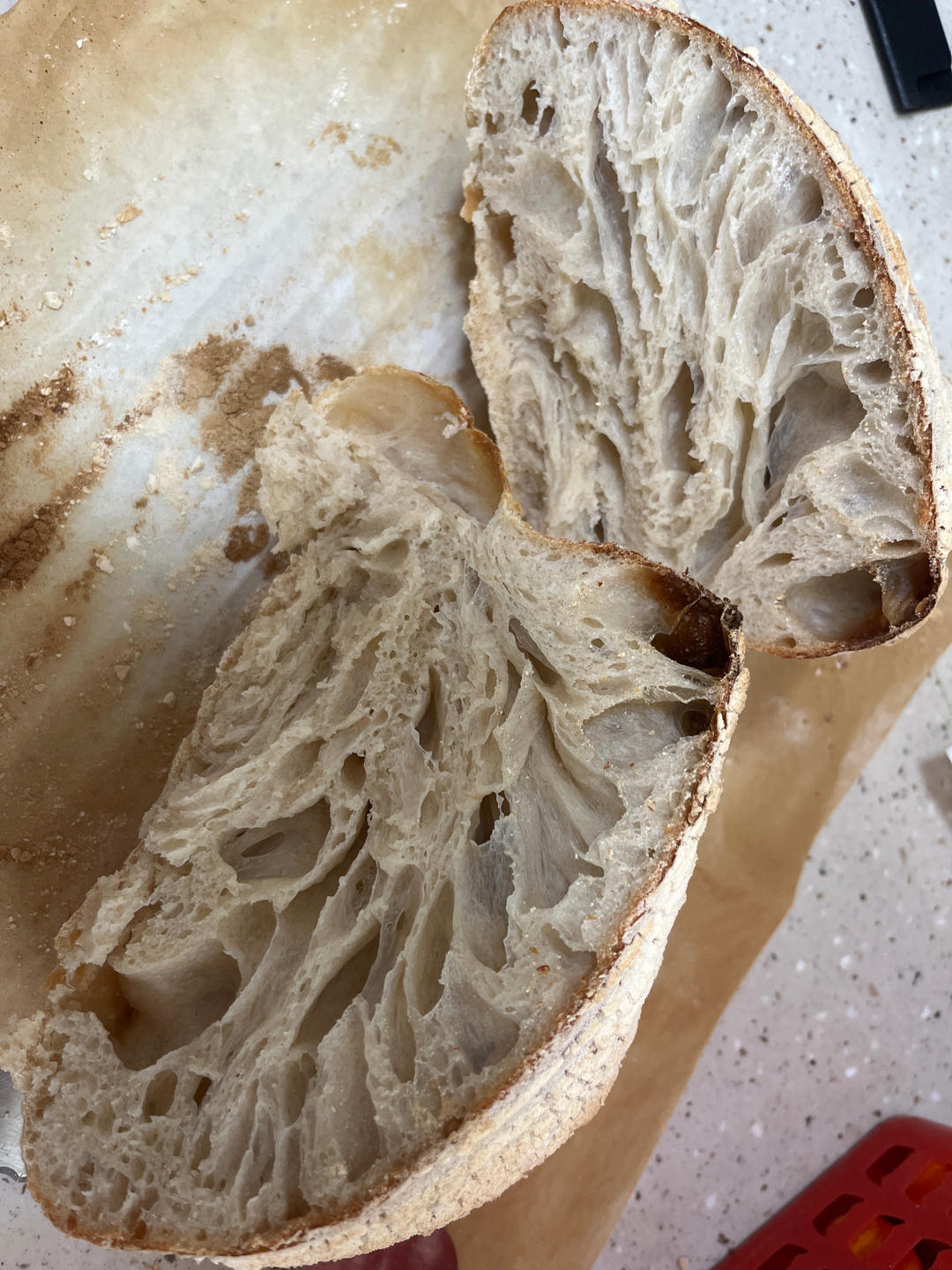 基础欧包练习-室温折叠隔夜冷藏（波兰种）