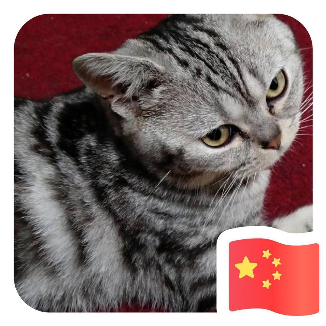 洗洗睡不着QAQ