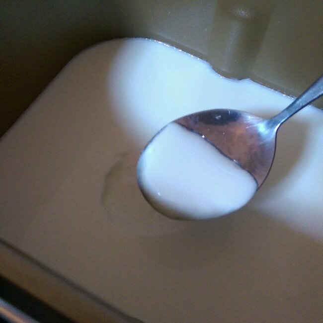 自制酸奶
