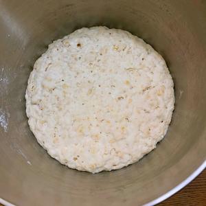 不用擀面的松软燕麦发面饼｜马克西姆巴斯克多功能锅的做法 步骤4