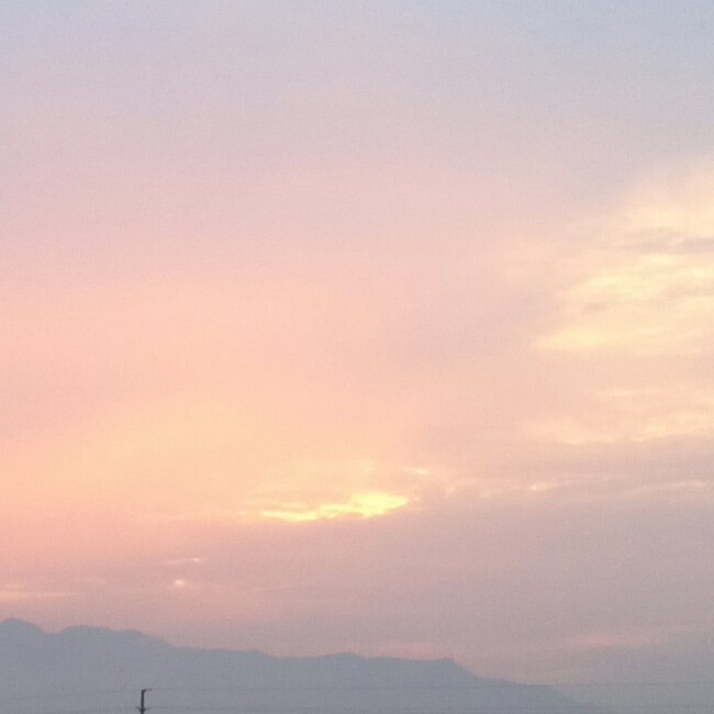 忘年恋