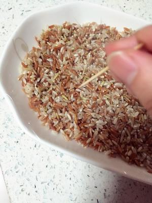 发芽米的做法 步骤2