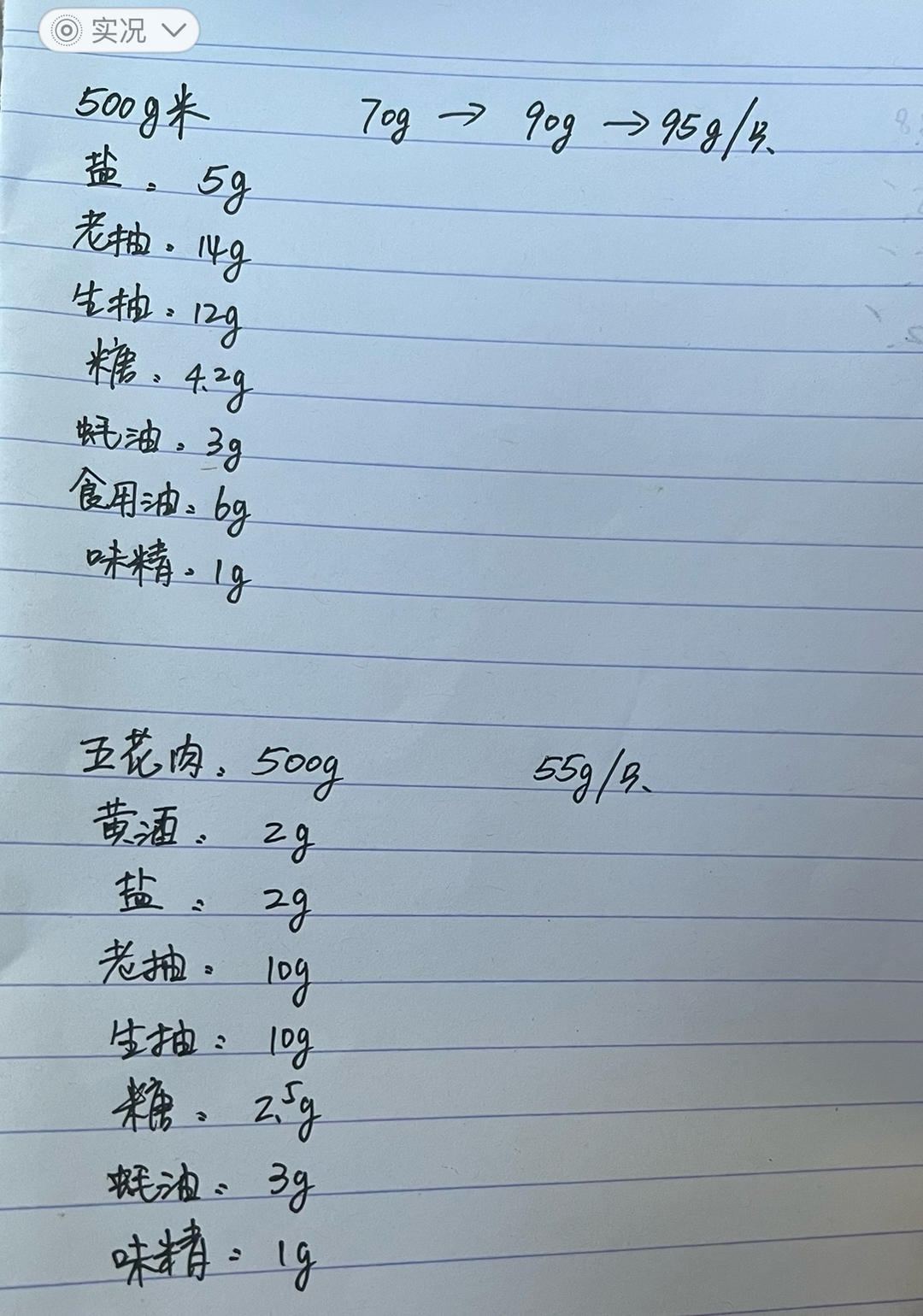 思念奶奶的大肉粽