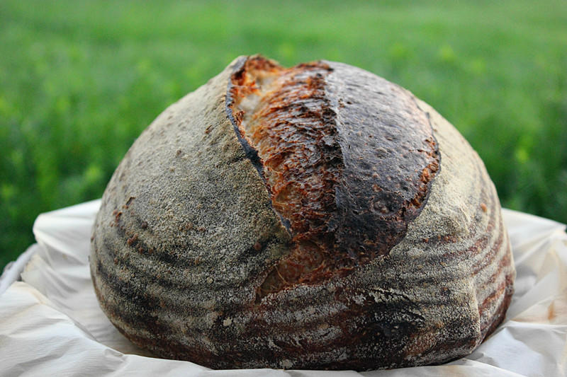 【Tartine Bread】天然酵种黑麦乡村欧包