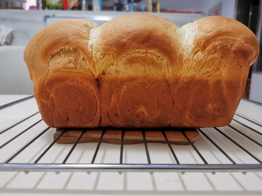🌟只需一发的软妹子🌟奶香吐司🍞