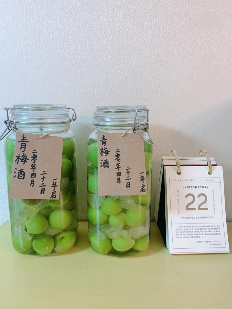 自酿超好喝的青梅酒/梅子酒