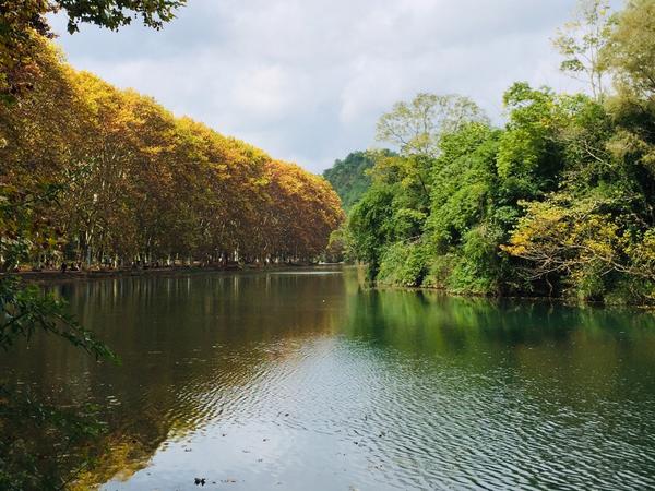 晚餐•2018年10月20日