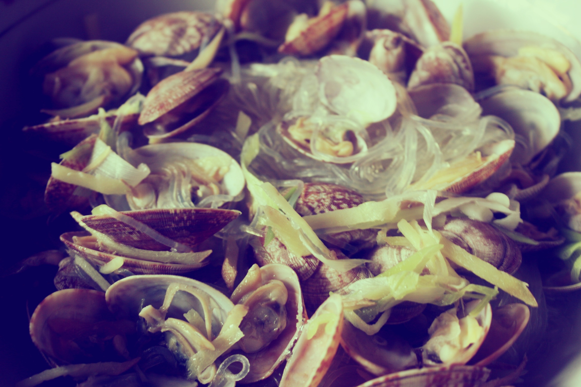 海蛤粉丝汤的做法