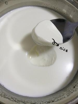 完美复刻老酸奶～乳酸菌版的做法 步骤8