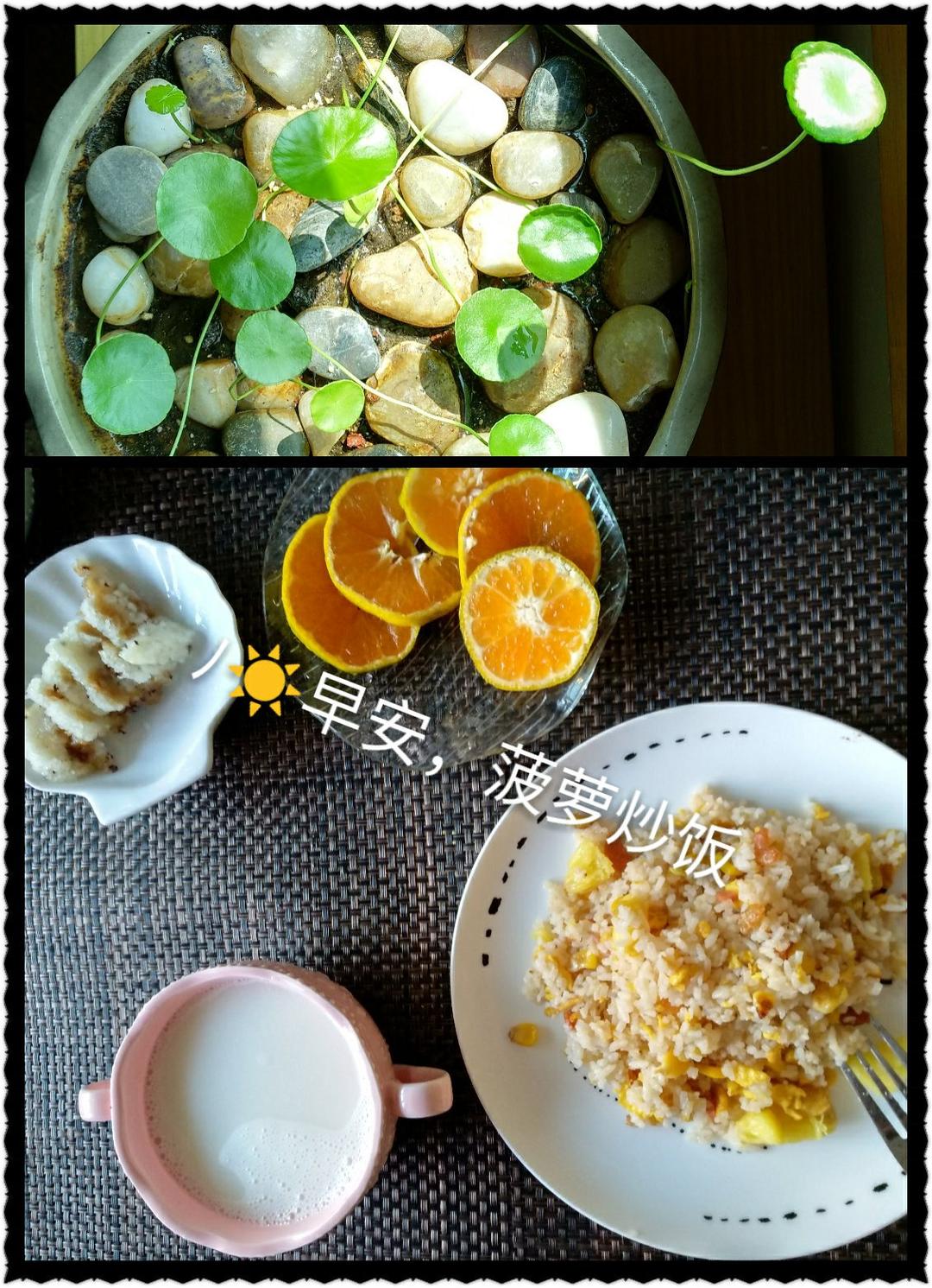 菠萝炒饭
