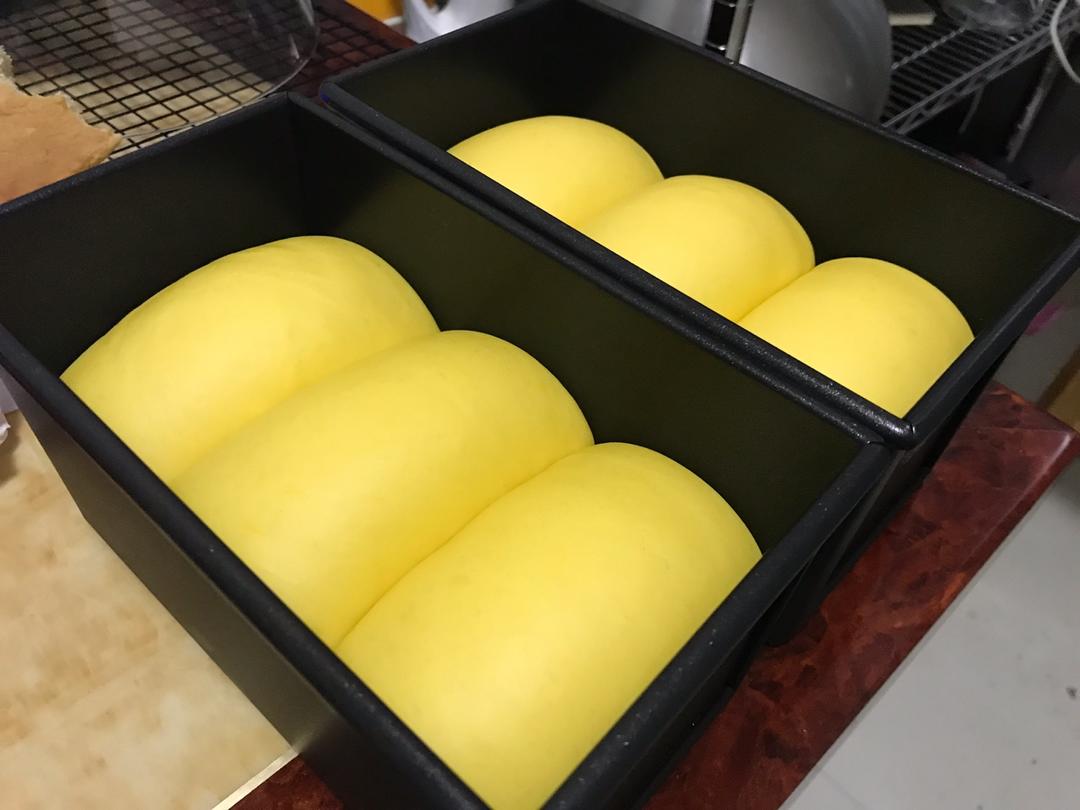 一份关于手撕吐司的跟风笔记