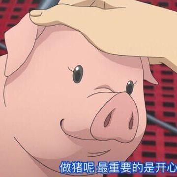 当波伏娃遇见萨特