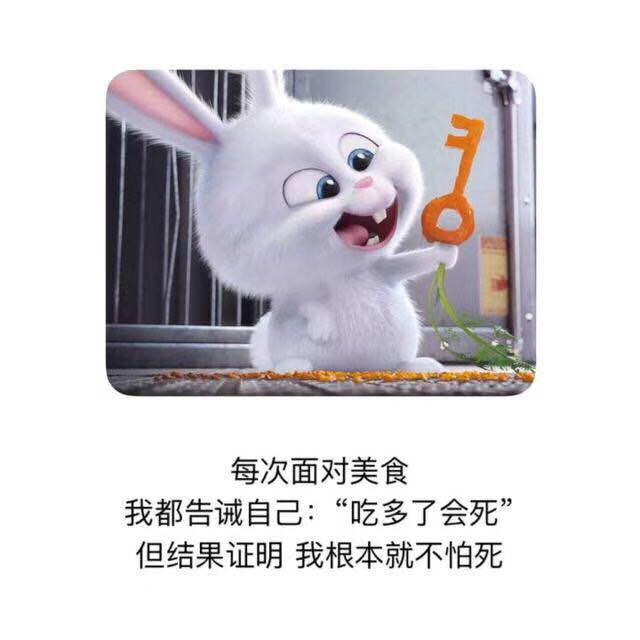 流氓兔妈妈