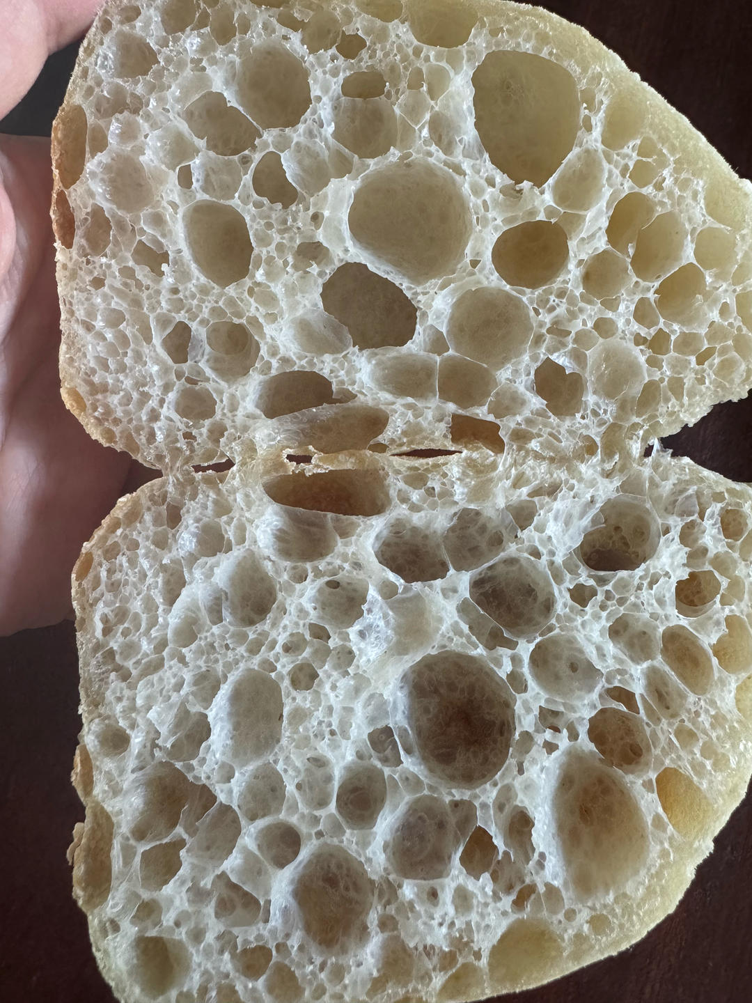 鲁邦种冷藏隔夜法恰巴塔Ciabatta（练习记录）